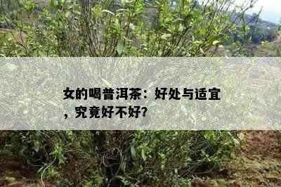 女的喝普洱茶：好处与适宜，究竟好不好？