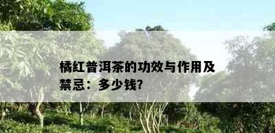 橘红普洱茶的功效与作用及禁忌：多少钱？