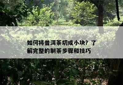 如何将普洱茶切成小块？了解完整的制茶步骤和技巧