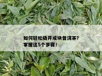 如何轻松撬开成块普洱茶？掌握这5个步骤！