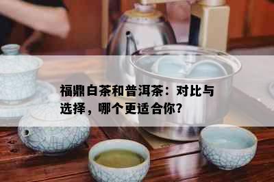 福鼎白茶和普洱茶：对比与选择，哪个更适合你？