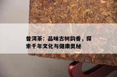 普洱茶：品味古树韵香，探索千年文化与健康奥秘