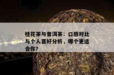 桂花茶与普洱茶：口感对比与个人喜好分析，哪个更适合你？