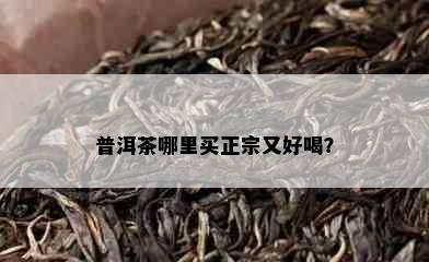 普洱茶哪里买正宗又好喝？