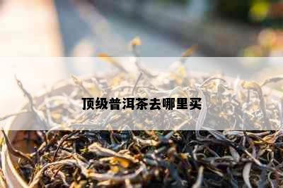 顶级普洱茶去哪里买