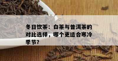 冬日饮茶：白茶与普洱茶的对比选择，哪个更适合寒冷季节？