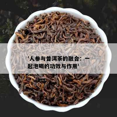 '人参与普洱茶的融合：一起泡喝的功效与作用'