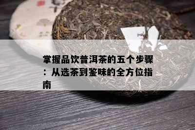 掌握品饮普洱茶的五个步骤：从选茶到鉴味的全方位指南