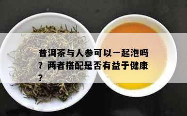 普洱茶与人参可以一起泡吗？两者搭配是否有益于健康？