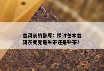 普洱茶的醇厚：探讨善本普洱茶究竟是生茶还是熟茶？