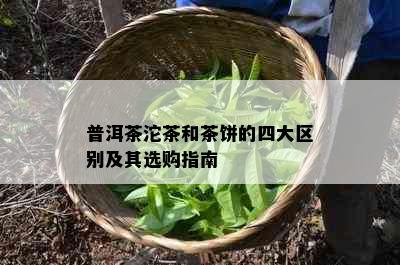 普洱茶沱茶和茶饼的四大区别及其选购指南