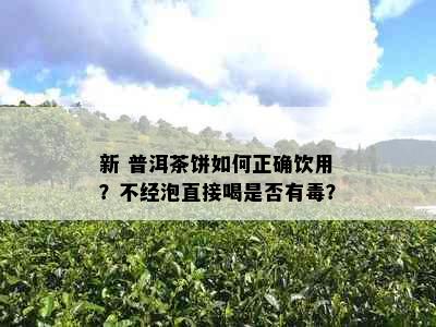 新 普洱茶饼如何正确饮用？不经泡直接喝是否有？