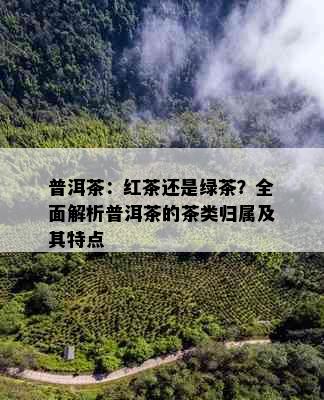 普洱茶：红茶还是绿茶？全面解析普洱茶的茶类归属及其特点