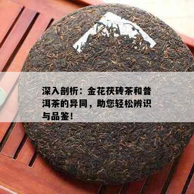 深入剖析：金花茯砖茶和普洱茶的异同，助您轻松辨识与品鉴！