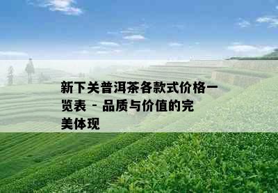 新下关普洱茶各款式价格一览表 - 品质与价值的完美体现