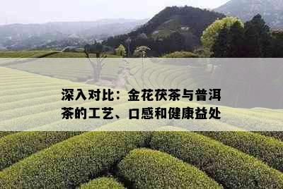 深入对比：金花茯茶与普洱茶的工艺、口感和健康益处