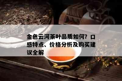 金色云河茶叶品质如何？口感特点、价格分析及购买建议全解