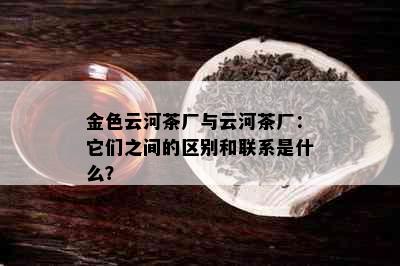 金色云河茶厂与云河茶厂：它们之间的区别和联系是什么？