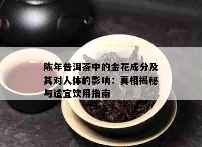 陈年普洱茶中的金花成分及其对人体的影响：真相揭秘与适宜饮用指南