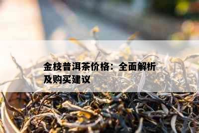 金枝普洱茶价格：全面解析及购买建议