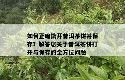 如何正确撬开普洱茶饼并保存？解答您关于普洱茶饼打开与保存的全方位问题