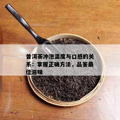 普洱茶冲泡温度与口感的关系：掌握正确方法，品鉴更佳滋味