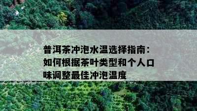 普洱茶冲泡水温选择指南：如何根据茶叶类型和个人口味调整更佳冲泡温度