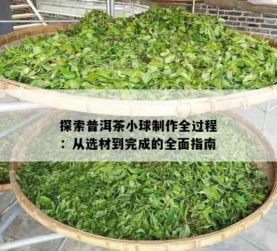 探索普洱茶小球制作全过程：从选材到完成的全面指南