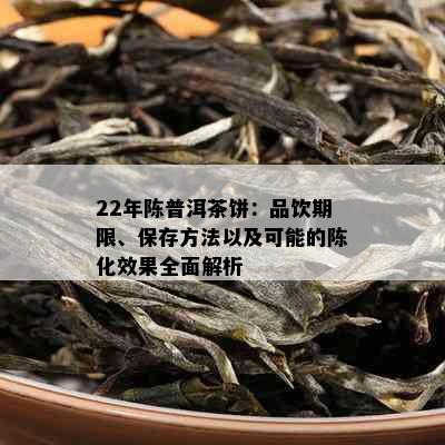 22年陈普洱茶饼：品饮期限、保存方法以及可能的陈化效果全面解析