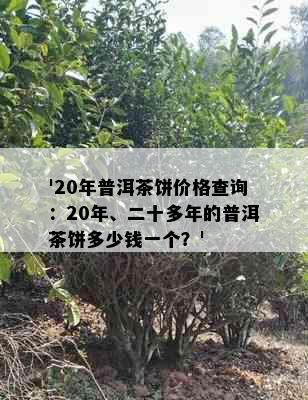 '20年普洱茶饼价格查询：20年、二十多年的普洱茶饼多少钱一个？'