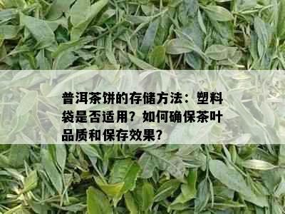 普洱茶饼的存储方法：塑料袋是否适用？如何确保茶叶品质和保存效果？