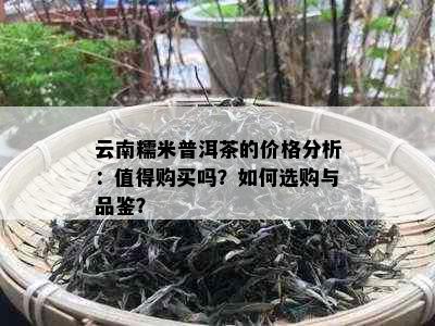 云南糯米普洱茶的价格分析：值得购买吗？如何选购与品鉴？