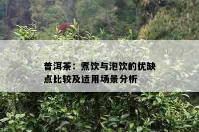 普洱茶：煮饮与泡饮的优缺点比较及适用场景分析