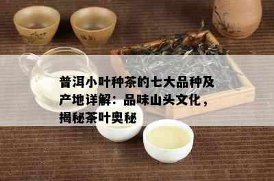 普洱小叶种茶的七大品种及产地详解：品味山头文化，揭秘茶叶奥秘