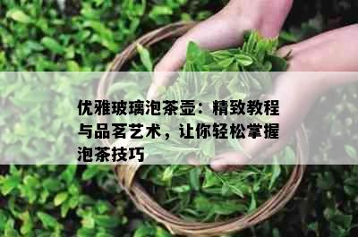 优雅玻璃泡茶壶：精致教程与品茗艺术，让你轻松掌握泡茶技巧