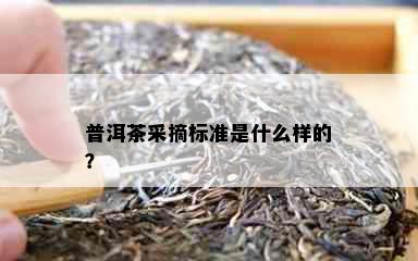 普洱茶采摘标准是什么样的？