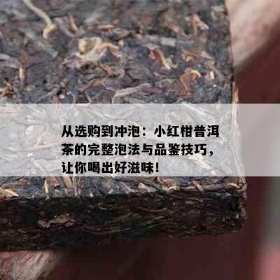 从选购到冲泡：小红柑普洱茶的完整泡法与品鉴技巧，让你喝出好滋味！