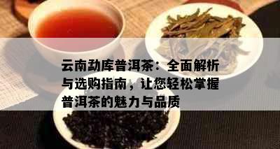 云南勐库普洱茶：全面解析与选购指南，让您轻松掌握普洱茶的魅力与品质