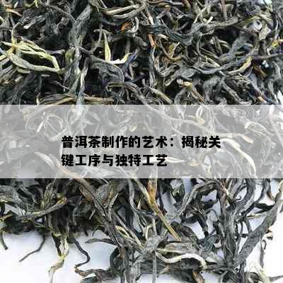 普洱茶制作的艺术：揭秘关键工序与独特工艺