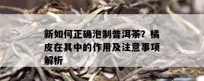 新如何正确泡制普洱茶？橘皮在其中的作用及注意事项解析