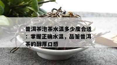 普洱茶泡茶水温多少度合适：掌握正确水温，品鉴普洱茶的醇厚口感