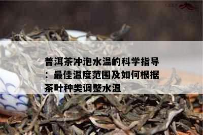 普洱茶冲泡水温的科学指导：更佳温度范围及如何根据茶叶种类调整水温