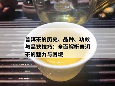 普洱茶的历史、品种、功效与品饮技巧：全面解析普洱茶的魅力与困境