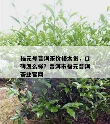 福元号普洱茶价格太贵，口碑怎么样？普洱市福元普洱茶业官网