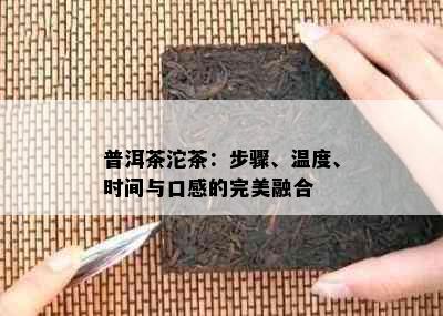 普洱茶沱茶：步骤、温度、时间与口感的完美融合