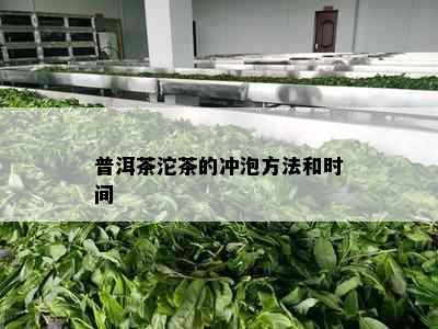 普洱茶沱茶的冲泡方法和时间