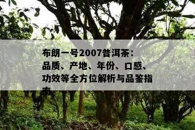 布朗一号2007普洱茶：品质、产地、年份、口感、功效等全方位解析与品鉴指南