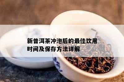 新普洱茶冲泡后的更佳饮用时间及保存方法详解