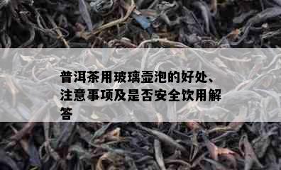 普洱茶用玻璃壶泡的好处、注意事项及是否安全饮用解答