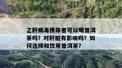 乙肝病携带者可以喝普洱茶吗？对肝脏有影响吗？如何选择和饮用普洱茶？